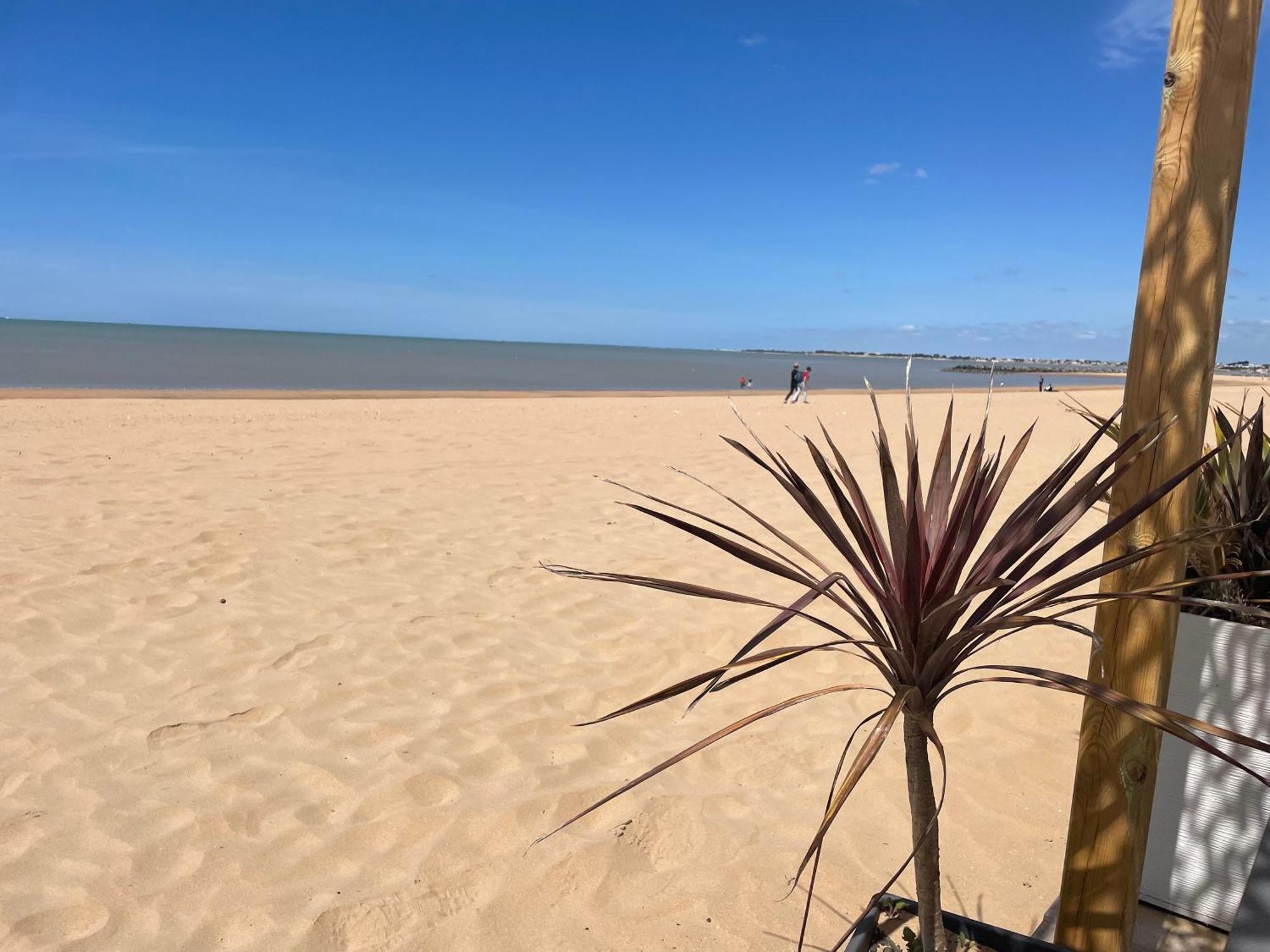 Acadie Saint Victor - Hotel Restaurant - Face Mer - Chatelaillon Plage Esterno foto